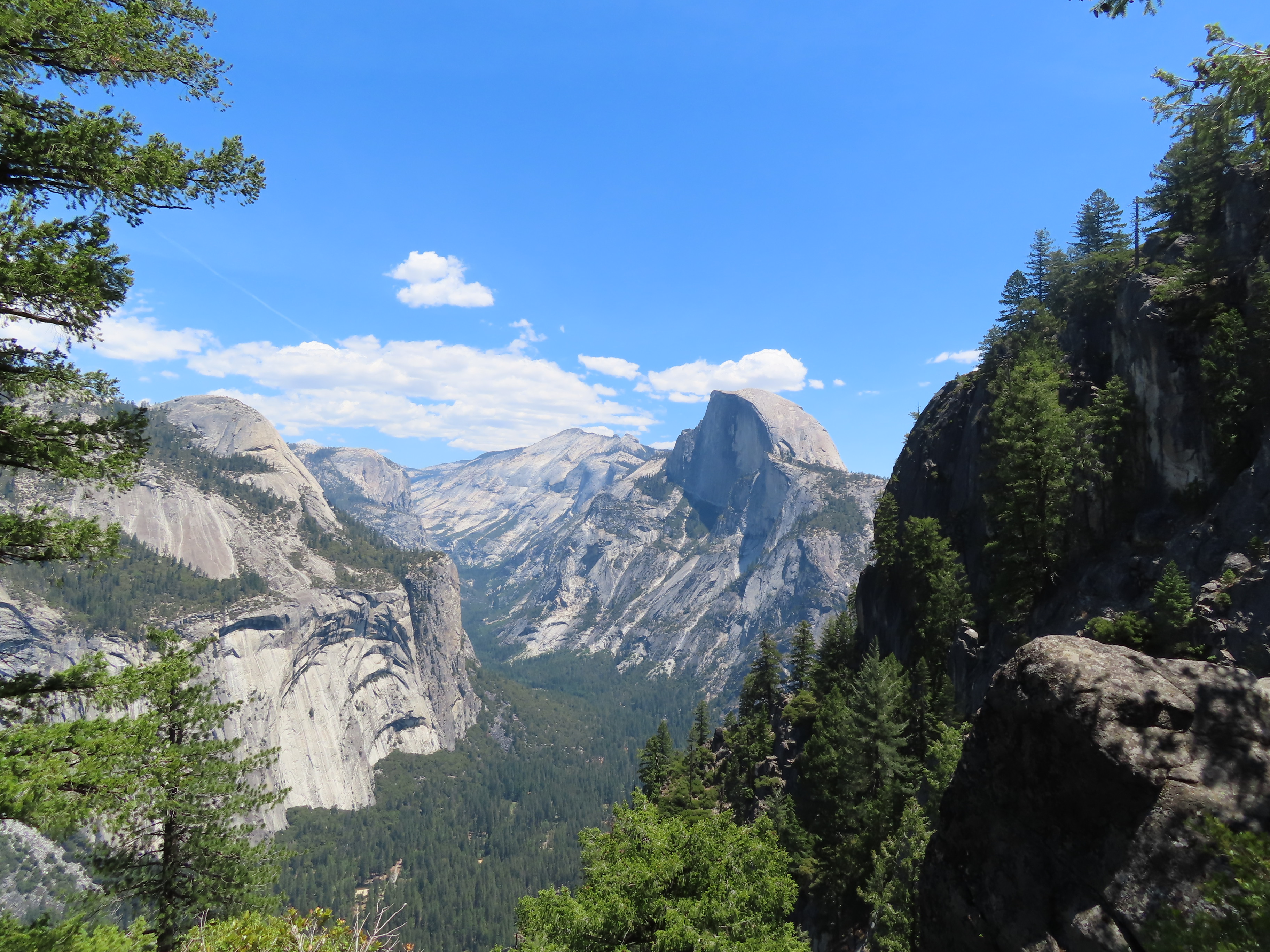 Picture of half-dome taken from Four Mile Trail